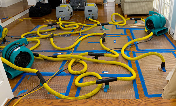 Professional Water Damage Repair technician working in Lincoln Park, PA